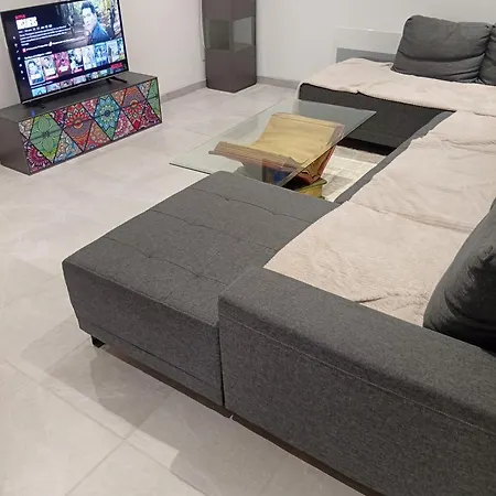 Apartment Grand En Souplex Entier Castres (Tarn)