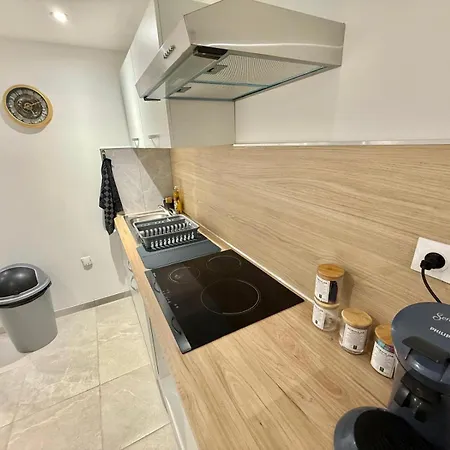 Grand En Souplex Entier * Castres (Tarn)