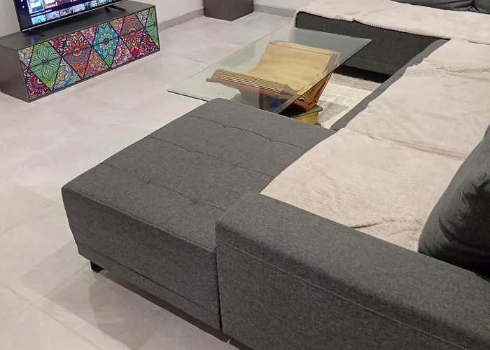 Apartment Grand En Souplex Entier Castres (Tarn)