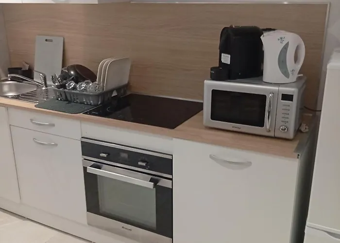 Appartement Grand En Souplex Entier Castres (Tarn)