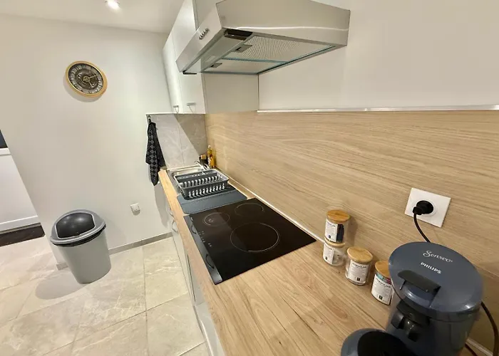 Grand En Souplex Entier * Castres (Tarn)