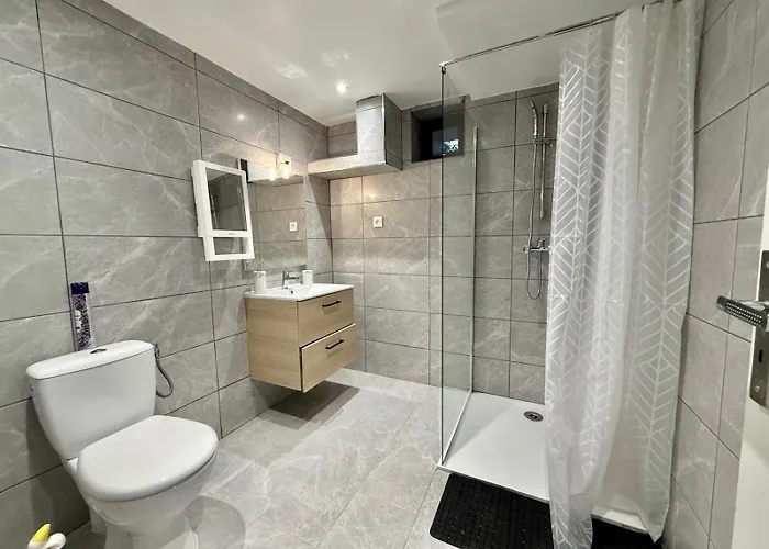 Grand En Souplex Entier Castres (Tarn)