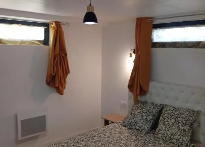 Apartment Grand En Souplex Entier Castres (Tarn)