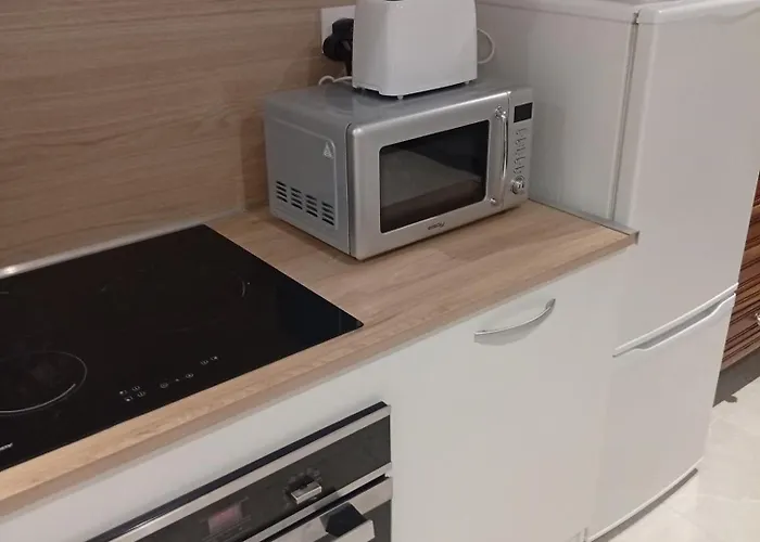 Apartment Grand En Souplex Entier Castres (Tarn)